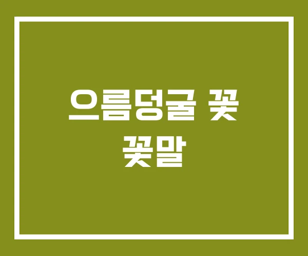 으름덩굴 꽃 꽃말