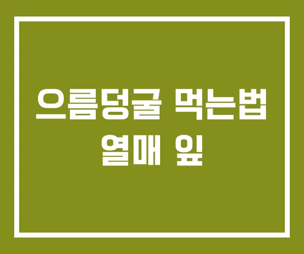 으름덩굴 먹는법 열매 잎