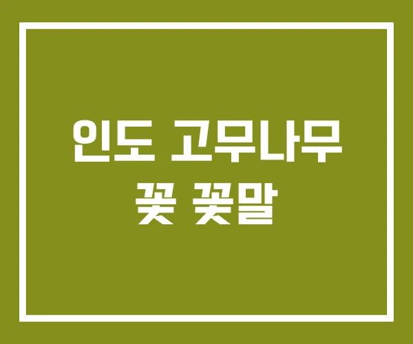 인도 고무나무 꽃 꽃말