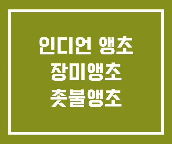 인디언 앵초 장미앵초 촛불앵초
