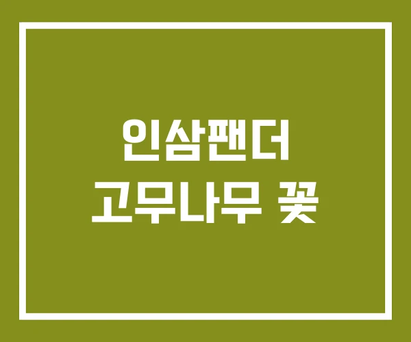 인삼팬더 고무나무 꽃