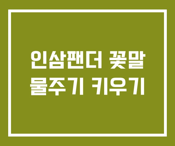 인삼팬더 꽃말 물주기 키우기
