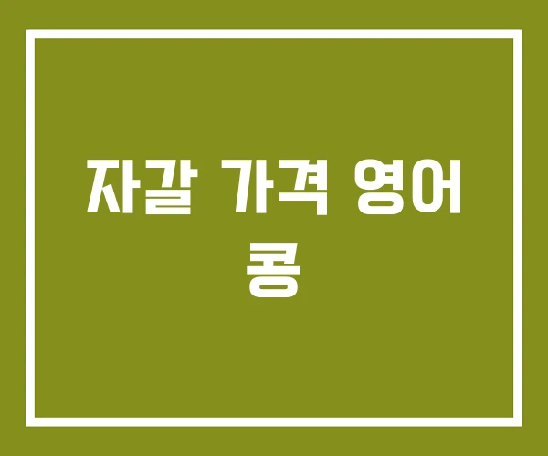자갈 가격 영어 콩