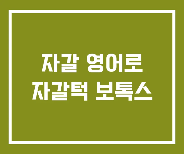 자갈 영어로 자갈턱 보톡스
