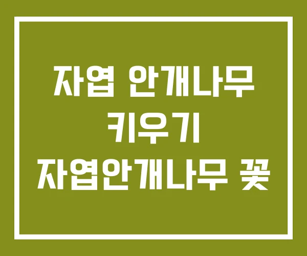 자엽 안개나무 키우기 자엽안개나무 꽃