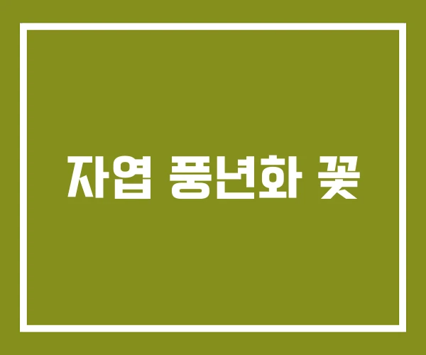 자엽 풍년화 꽃