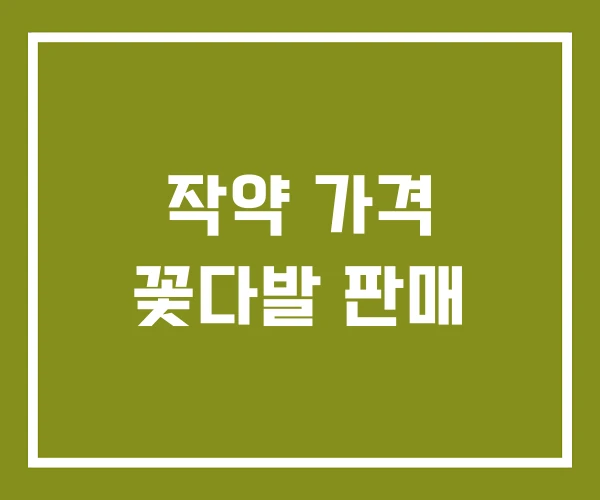 작약 가격 꽃다발 판매