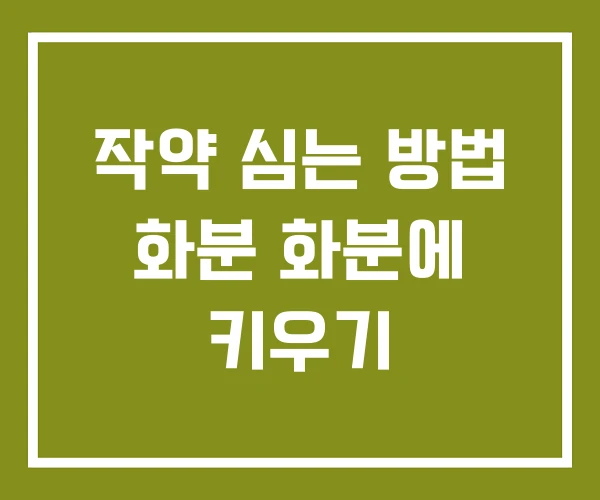 작약 심는 방법 화분 화분에 키우기