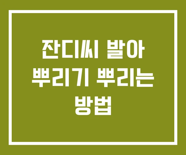 잔디씨 발아 뿌리기 뿌리는 방법