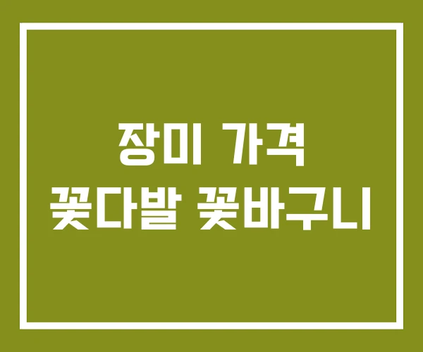 장미 가격 꽃다발 꽃바구니