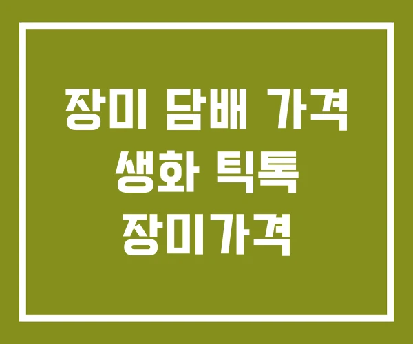 장미 담배 가격 생화 틱톡 장미가격