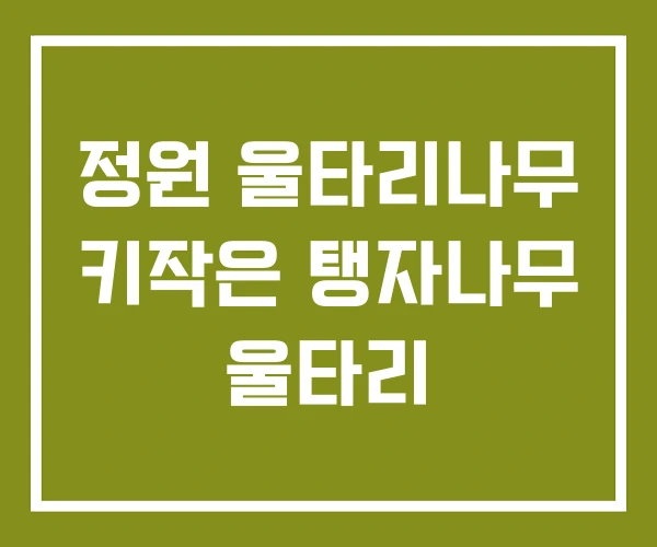 정원 울타리나무 키작은 탱자나무 울타리