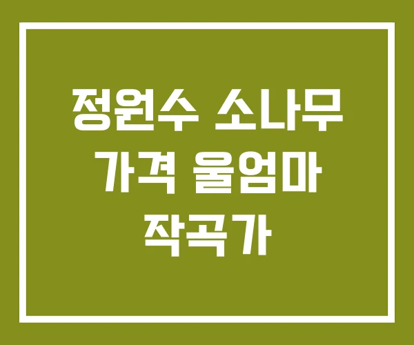 정원수 소나무 가격 울엄마 작곡가