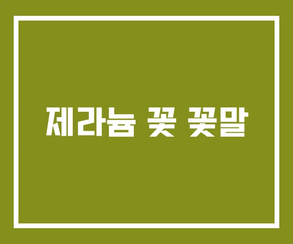 제라늄 꽃 꽃말