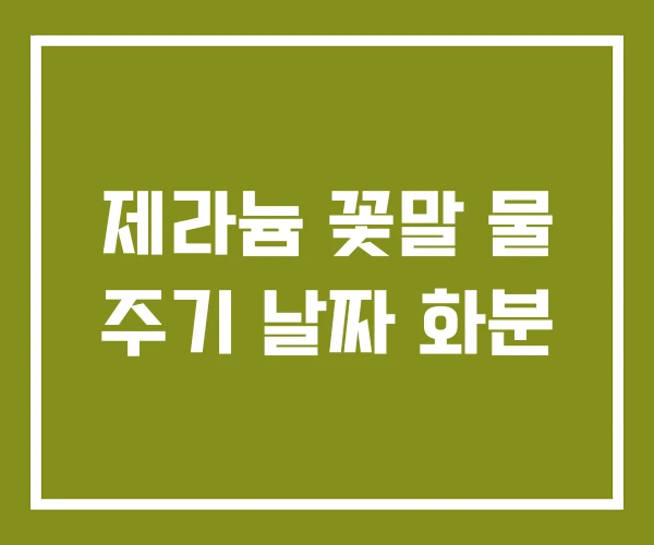 제라늄 꽃말 물 주기 날짜 화분