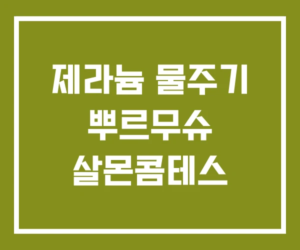 제라늄 물주기 뿌르무슈 살몬콤테스