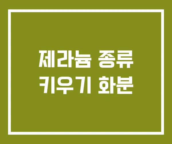 제라늄 종류 키우기 화분