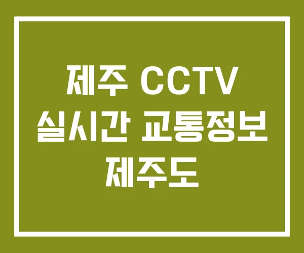 제주 CCTV 실시간 교통정보 제주도