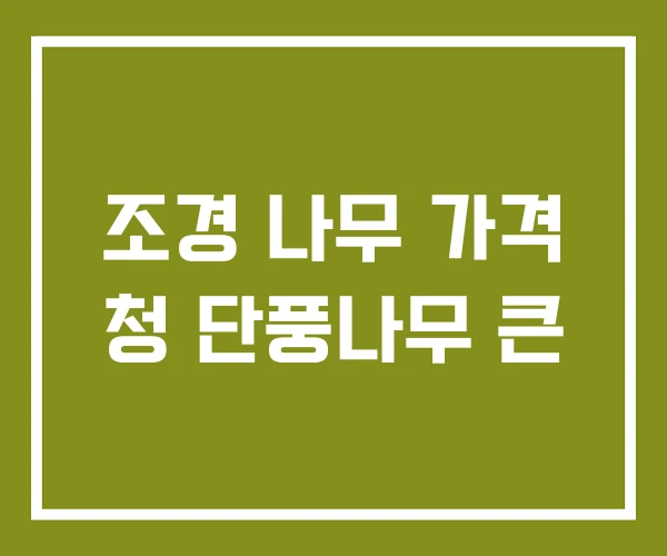 조경 나무 가격 청 단풍나무 큰