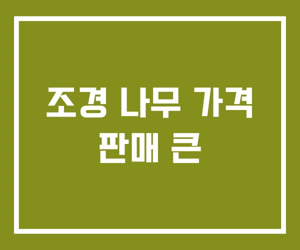 조경 나무 가격 판매 큰