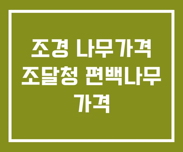 조경 나무가격 조달청 편백나무 가격