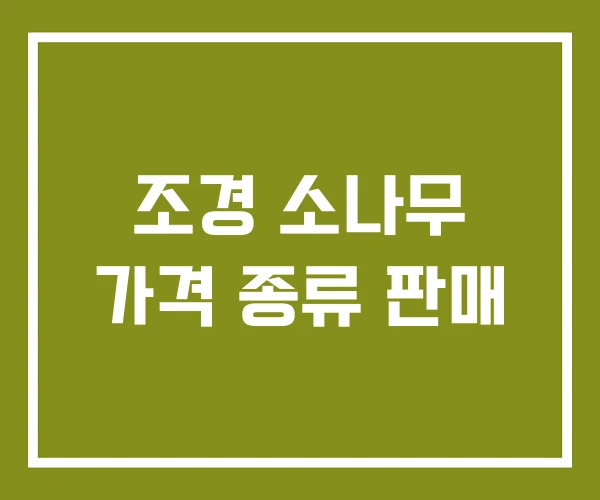 조경 소나무 가격 종류 판매