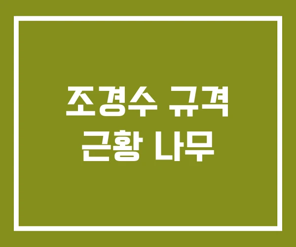조경수 규격 근황 나무