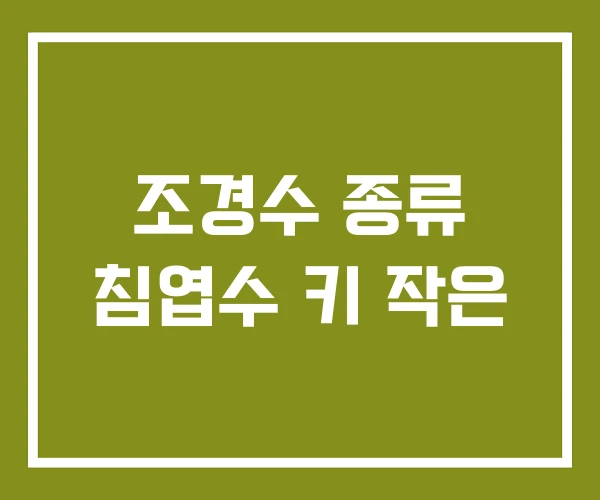 조경수 종류 침엽수 키 작은