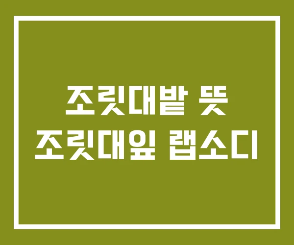 조릿대밭 뜻 조릿대잎 랩소디