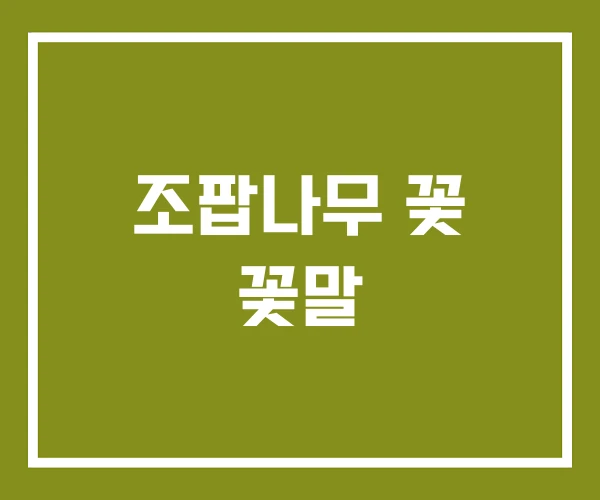 조팝나무 꽃 꽃말