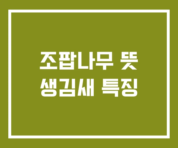 조팝나무 뜻 생김새 특징