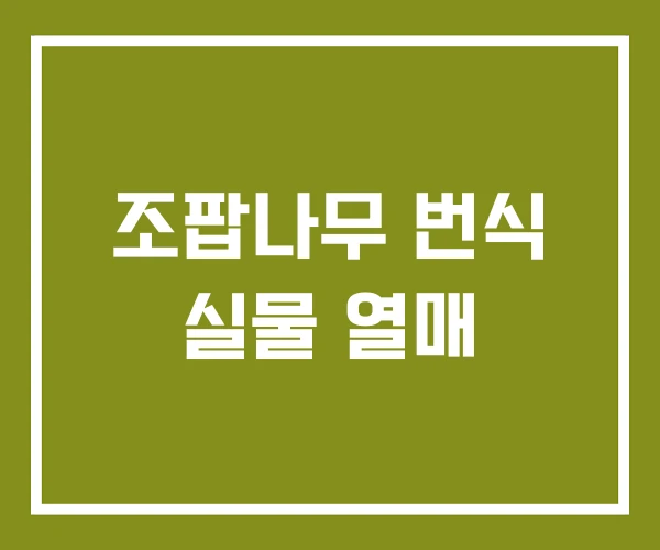 조팝나무 번식 실물 열매