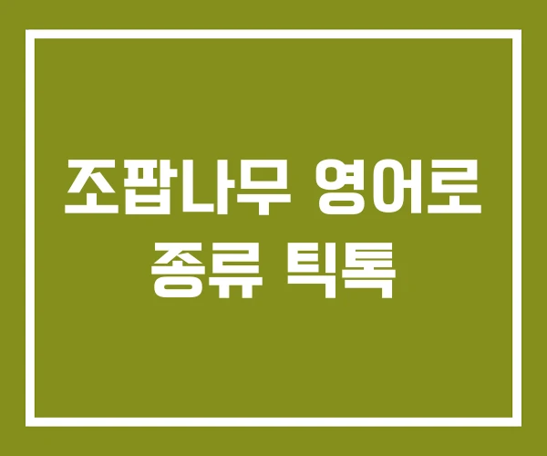 조팝나무 영어로 종류 틱톡