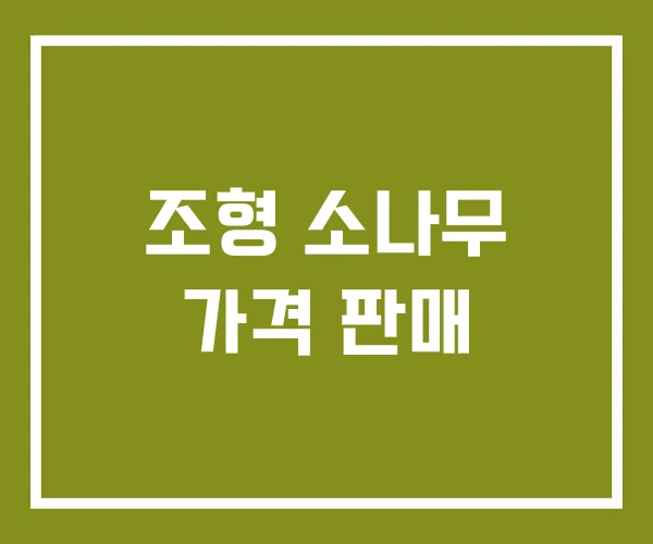 조형 소나무 가격 판매