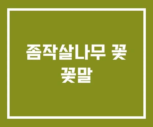 좀작살나무 꽃 꽃말