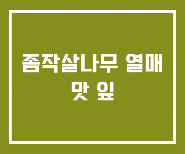 좀작살나무 열매 맛 잎