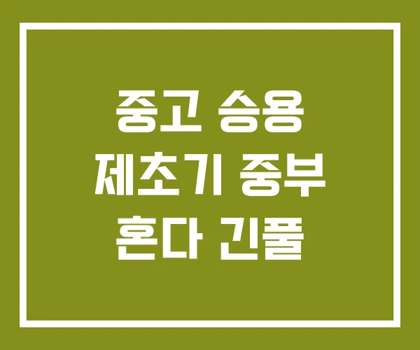 중고 승용 제초기 중부 혼다 긴풀