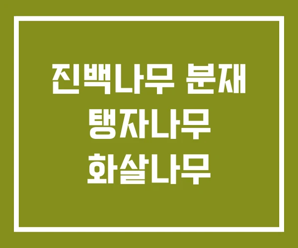 진백나무 분재 탱자나무 화살나무