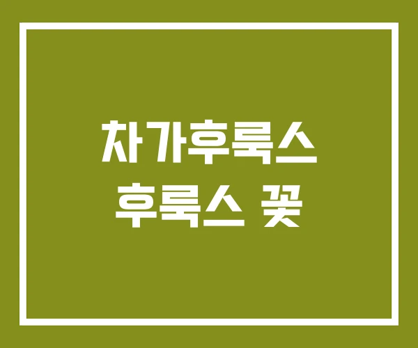 차가후룩스 후룩스 꽃