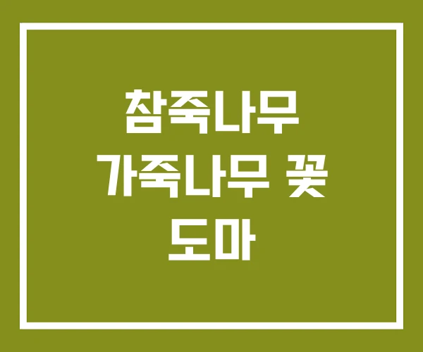 참죽나무 가죽나무 꽃 도마