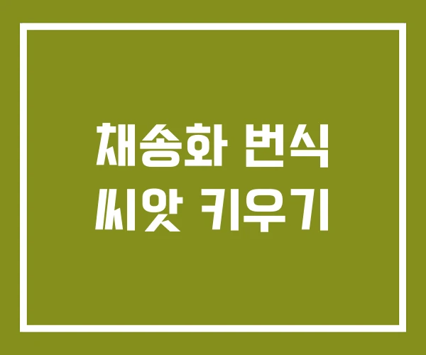 채송화 번식 씨앗 키우기