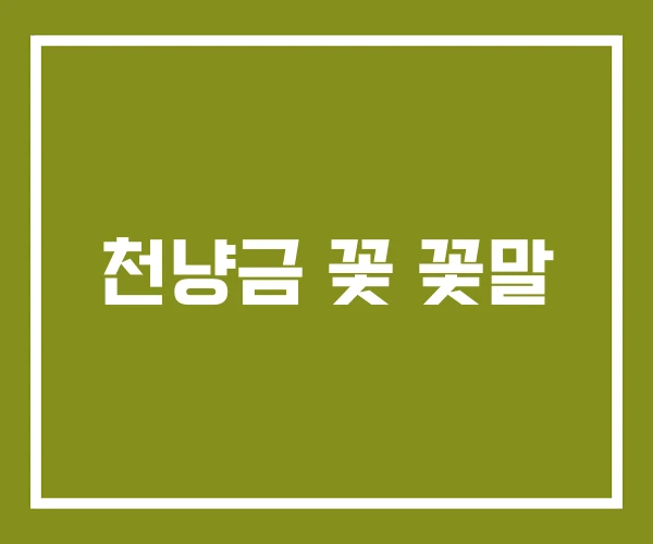 천냥금 꽃 꽃말