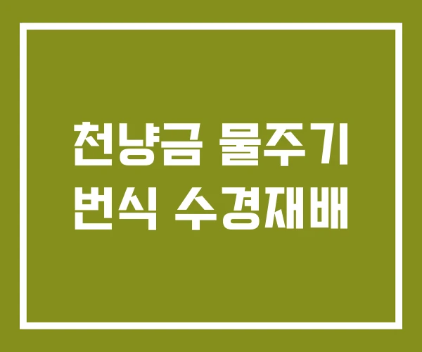 천냥금 물주기 번식 수경재배