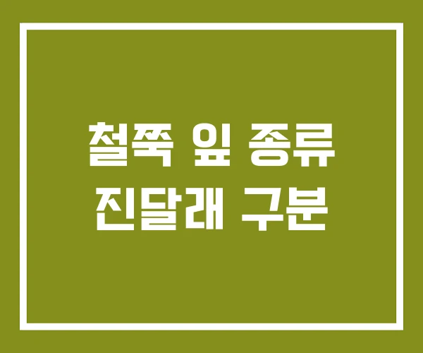 철쭉 잎 종류 진달래 구분