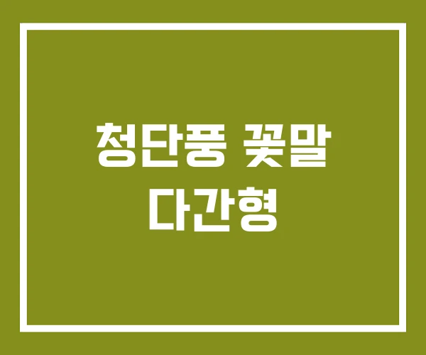 청단풍 꽃말 다간형