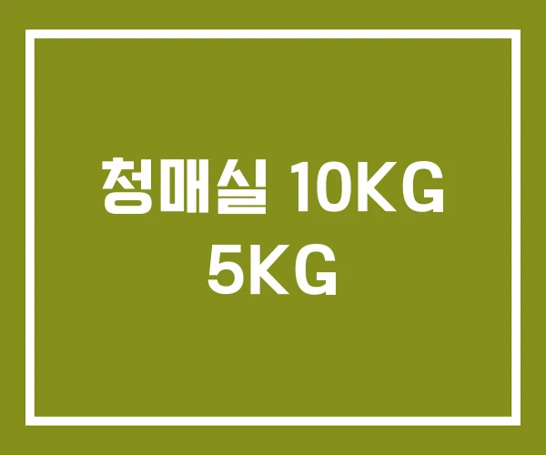 청매실 10KG 5KG