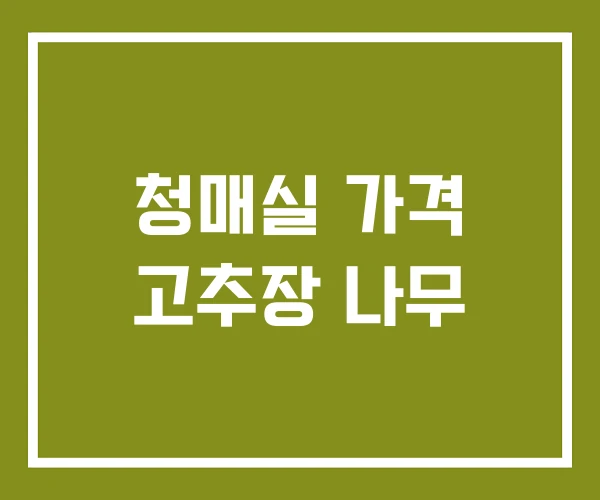 청매실 가격 고추장 나무