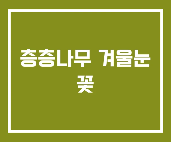층층나무 겨울눈 꽃