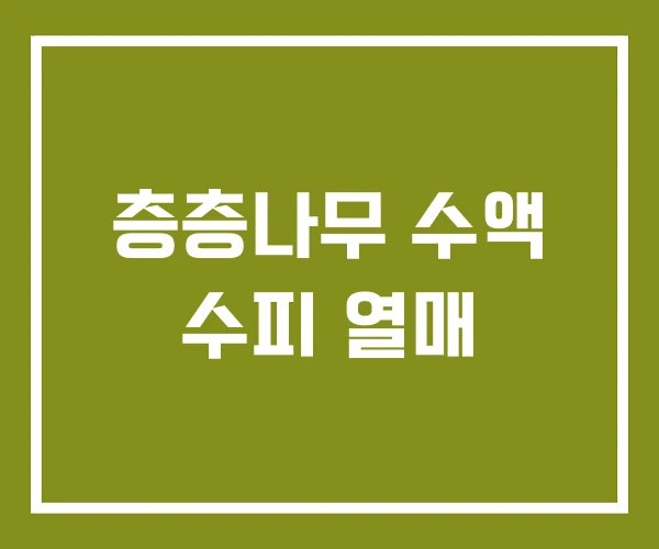 층층나무 수액 수피 열매