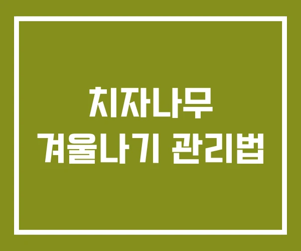 치자나무 겨울나기 관리법